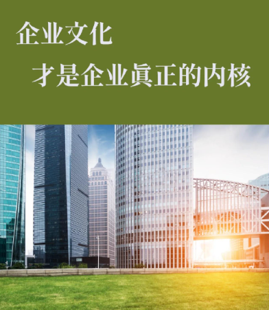 舞台电动幕布定制方案：北京兴盛佳业智能控制系统技术解析